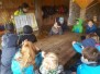 4a Paulinenwäldchen 2016