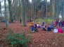 Holz sammeln 2015