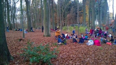 Holz-sammeln-10