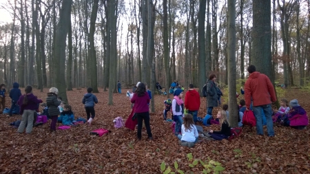 Holz-sammeln-12