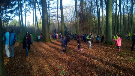 Holz-sammeln-18