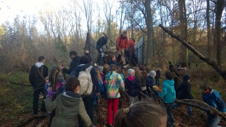 Holz-sammeln-20