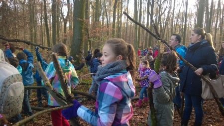 Holz-sammeln-21