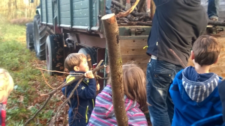 Holz-sammeln-22