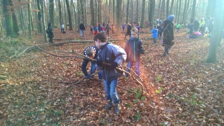 Holz-sammeln-25