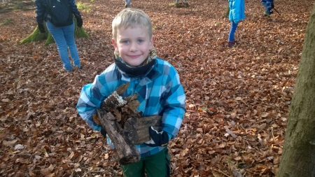 Holz-sammeln-26