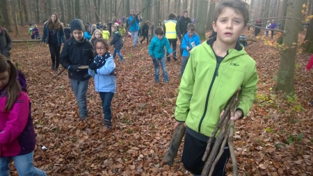 Holz-sammeln-33