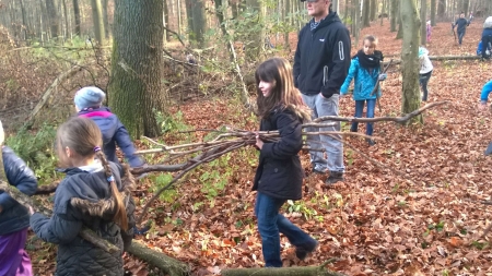 Holz-sammeln-38