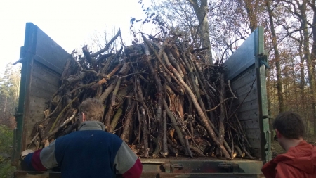 Holz-sammeln-39