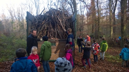 Holz-sammeln-43